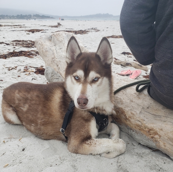 Meet your Posher, Alicia - Picture 13 of 16